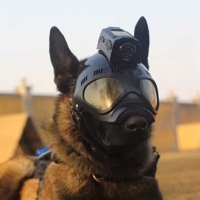 Transmission en direct Troops Caméra de casque tactique militaire avec GPS 4G et Wifi 2,4 GHz